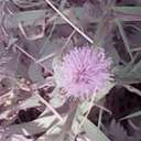 sonny erwin - @sonnyerwin - Twitter