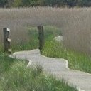 Anne Peel - @AnnePeel1 - Twitter