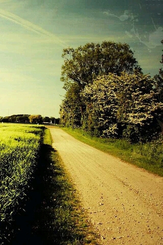 letsbe0325's profile picture. 