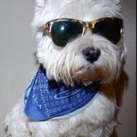 Just Prizes UK (@tch2uukcomps) 's Twitter Profile