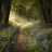 511demian's profile image