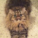 Tim Hoffman - @Tim_Hoffman - Twitter