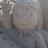 SingleMumDiary's profile image