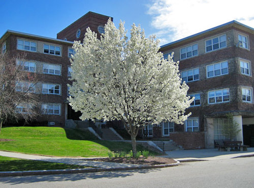 Find everything you need to know about Healy Hall and other Holy Cross happenings, here!