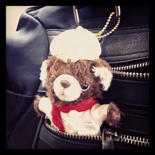 KoiArea51's profile picture. 