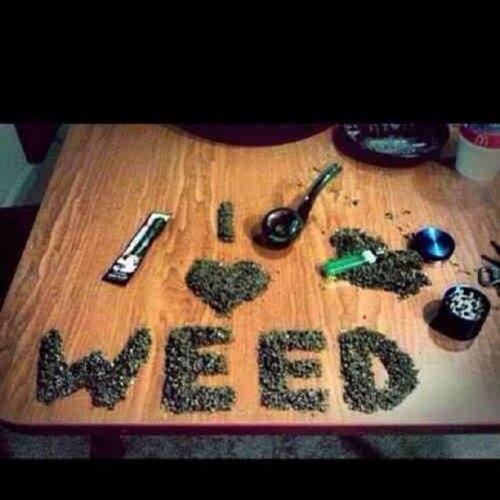 dudeimfucked's profile picture. just a girl who has a love for #weed roll it up pass it on thats the way we like it ! here i give u all my crazy thoughts ✌peace