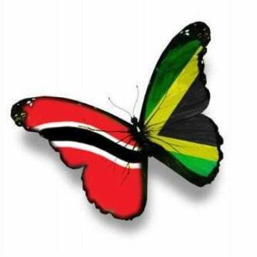 natashahinkson's profile picture. 