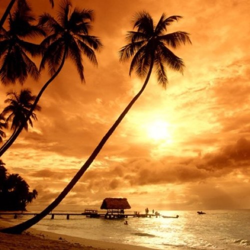 RalphJohandsome's profile picture. I am hungry for more