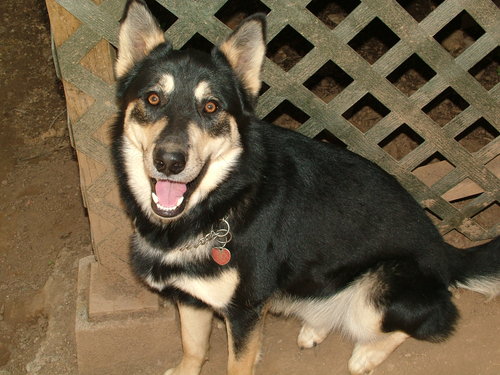 electlady23's profile picture. Love my Lord, husb.,fam.,animals, humble sheperd in His service planting seeds in God's garden one sole at a time.