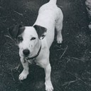 Captainfun - @JamesMarotta721 - Twitter