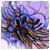 AngelaConway14 Profile Picture