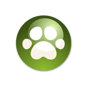 If you live in Denver or the surrounding area in CO, then you have picked the perfect site to find a veterinarian.