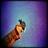 DumfriesMusic's profile image