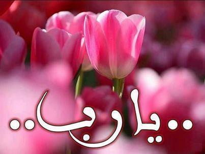 في سجودك بح له بما يعلم من معاناتك وآلامك ونصبك وأحزانك، واطلب الصفح والتجاوز عن زلاتك مهما عظمت فهو أعظم وأكرم. --