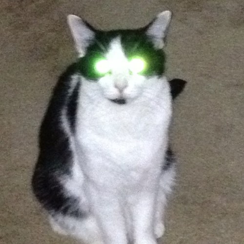 trave1's profile picture. 