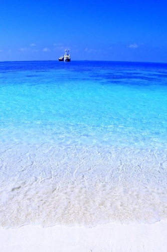 eggflock's profile picture. 日本大好き！