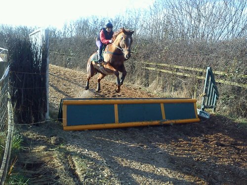 ciderboy10's profile picture. 