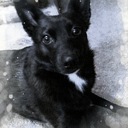 Dara lynn. - @Daralynnette - Twitter