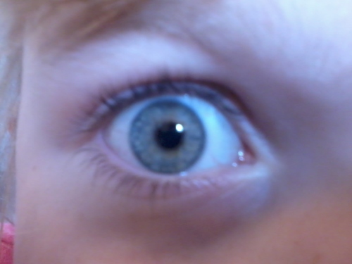 Homeschooluk's profile picture. Homeschooling & home educating help, advice and tips.