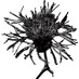 carol wyss (@carolwyss) Twitter profile photo