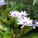 Rosaura Marquez - @rosymarquezm - Twitter