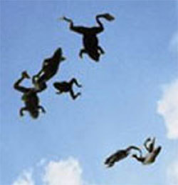 JREISMARTINS's profile picture. Crazy about two kids and Palko.