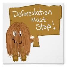 ReforestWorld's profile picture. Trees are very important, care about the world
STOP DEFORESTATION for a better world!!!