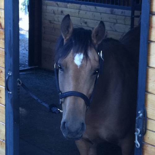 rockinbonn's profile picture. 