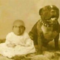 Mark (@mark08833588) 's Twitter Profile