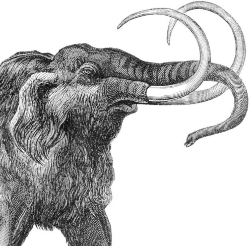 rbhlms's profile picture. the fine art which is left for us, now that sculpture, painting, and religious and civil architecture have become effete, and have passed into second childhood.