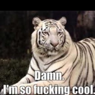 Mycustommod's profile picture. 