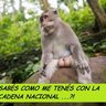 sinkadenas's profile picture. no aguanto las diktaduras ni la korrupcion, y mucho menos las cadenas nacionales para hablar de los pañales de Maximo