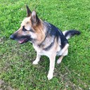 Jon Oliver - @Jonoliver6212 - Twitter