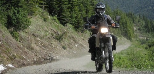 1Verolicous's profile picture. 