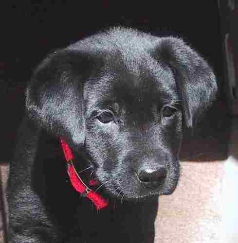 cptzzggyy's profile picture. UGA grad - 1968.  Still following the 'Dawgs after all these years.