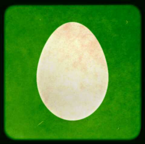 ThibautMfA's profile picture. 