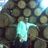 Rafael Ramirez C 🇺🇦 (@mucho_billete) 's Twitter Profile