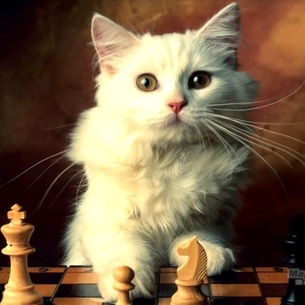 BroganPow's profile picture. A dreamer is one who can only find his way by moonlight, and his punishment is that he sees the dawn before the rest of the world - Oscar Wilde