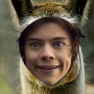 FuckTeria's profile picture. I love ODFWGKTA Id suck every boy in One Direction dick on a leaf in Africa while riding an elephant