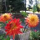 Robert Hoss - @HossRobert - Twitter