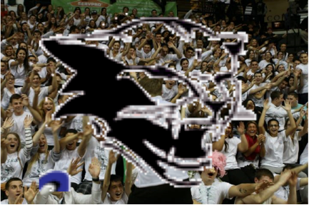 CNHSCougarDen's profile picture. On the journey to regaining our title as loudest crowd in the shore..
Last year for many of our athletes why not go out with a bang?
Let's Go Cougars.