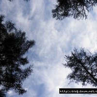 정성혜 (@doorido) 's Twitter Profile