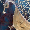 bernie morris - @MorrisBernie - Twitter