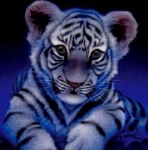 redprix1's profile picture. 