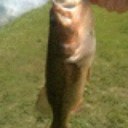 robert  oneill - @robertONELL - Twitter