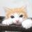kubok7ec's profile image