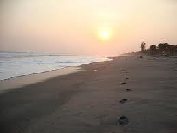 eloy08071328's profile picture. 