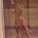 Lauren Applegate - @laurenapplegate - Twitter