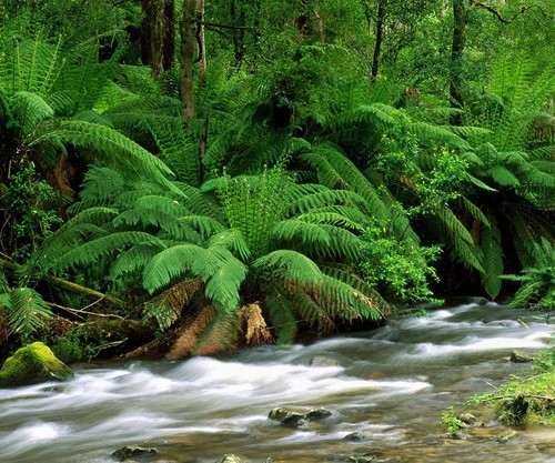 akgtweets01's profile picture. A spiritual alien being traveling and wandering across temporary existence towards permanence!