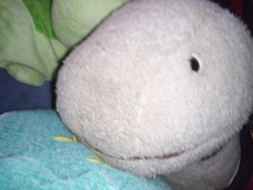 hoboksk's profile picture. パブシャンソン歌手。ハーピスト。現代のリアル・HOBO。チンピラ。